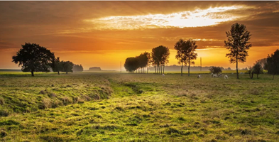 Polska wieś - dziedzictwo i przyszłość